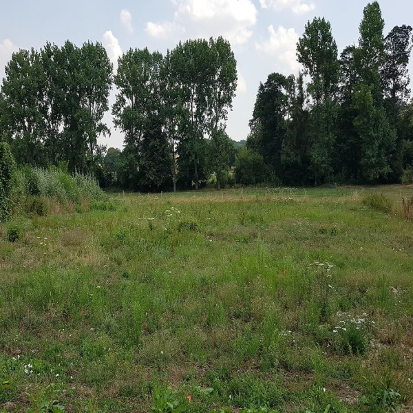Offres de vente Terrain Abbeville 80132